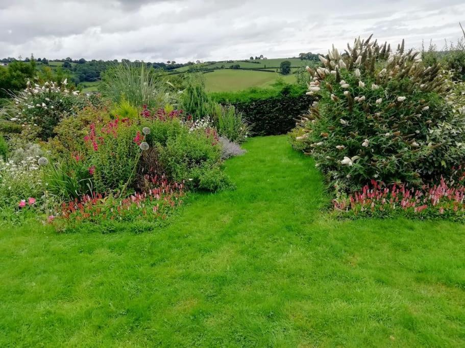 Country Home With Gardens 纽敦 外观 照片